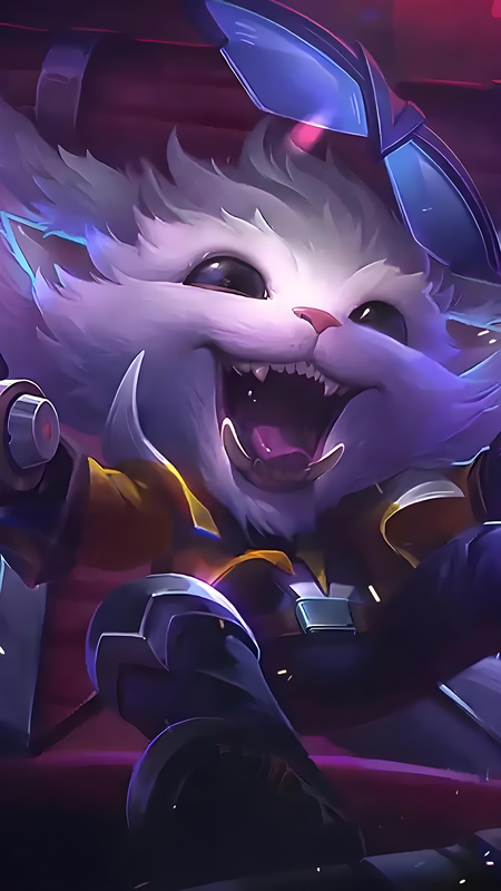 フォトコレクション